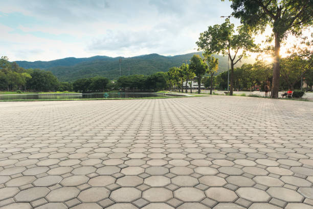 Residential Paver Driveway in Caro, MI