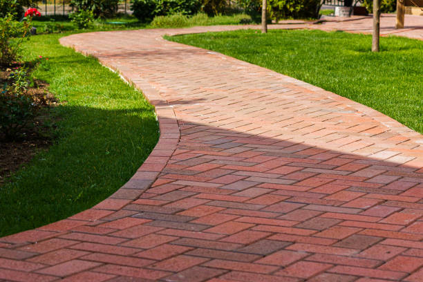 Best Driveway Paving Contractor  in Caro, MI